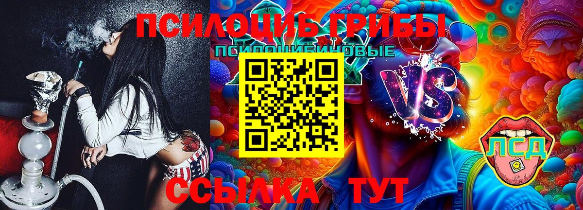 Псилоцибиновые грибы Cubensis Туймазы